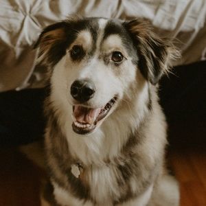 Meet your Posher, Niki